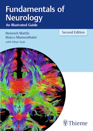 Fundamentals of Neurology